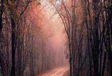 竞者丨她是郑钦文的绝对克星，当代女单大力王，却曾险些因父亲去世而选择退役.