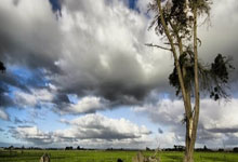 四川女篮以102：59战胜山西女篮 韩旭获常规赛MVP3-25 22：31.