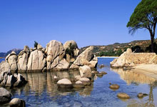 壹号娱乐：[图]WTT重庆冠军赛男单决赛：王楚钦4-1林诗栋.